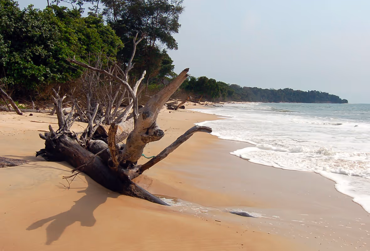 Assurance voyage Gabon