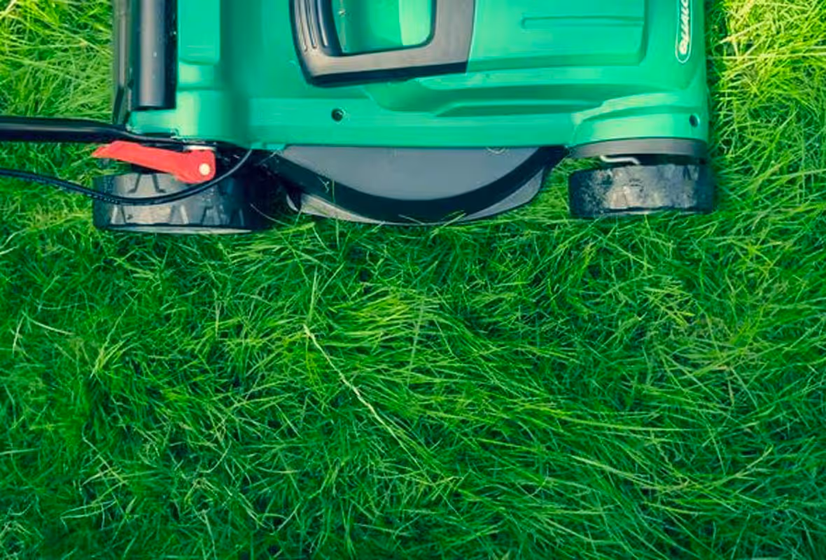 Assurance tracteur tondeuse