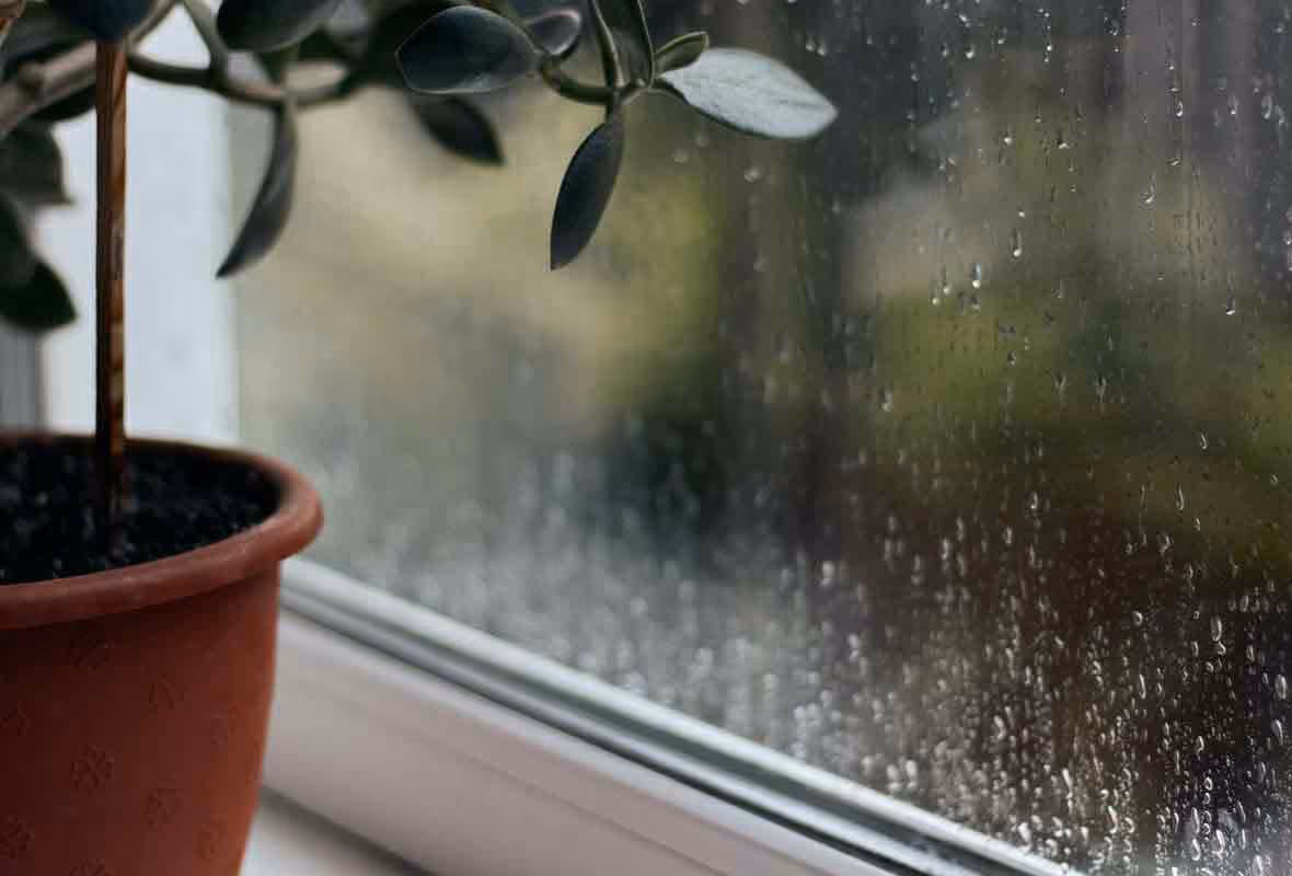 Que faire en cas de dégâts des eaux suite à l’achat d’une maison ?