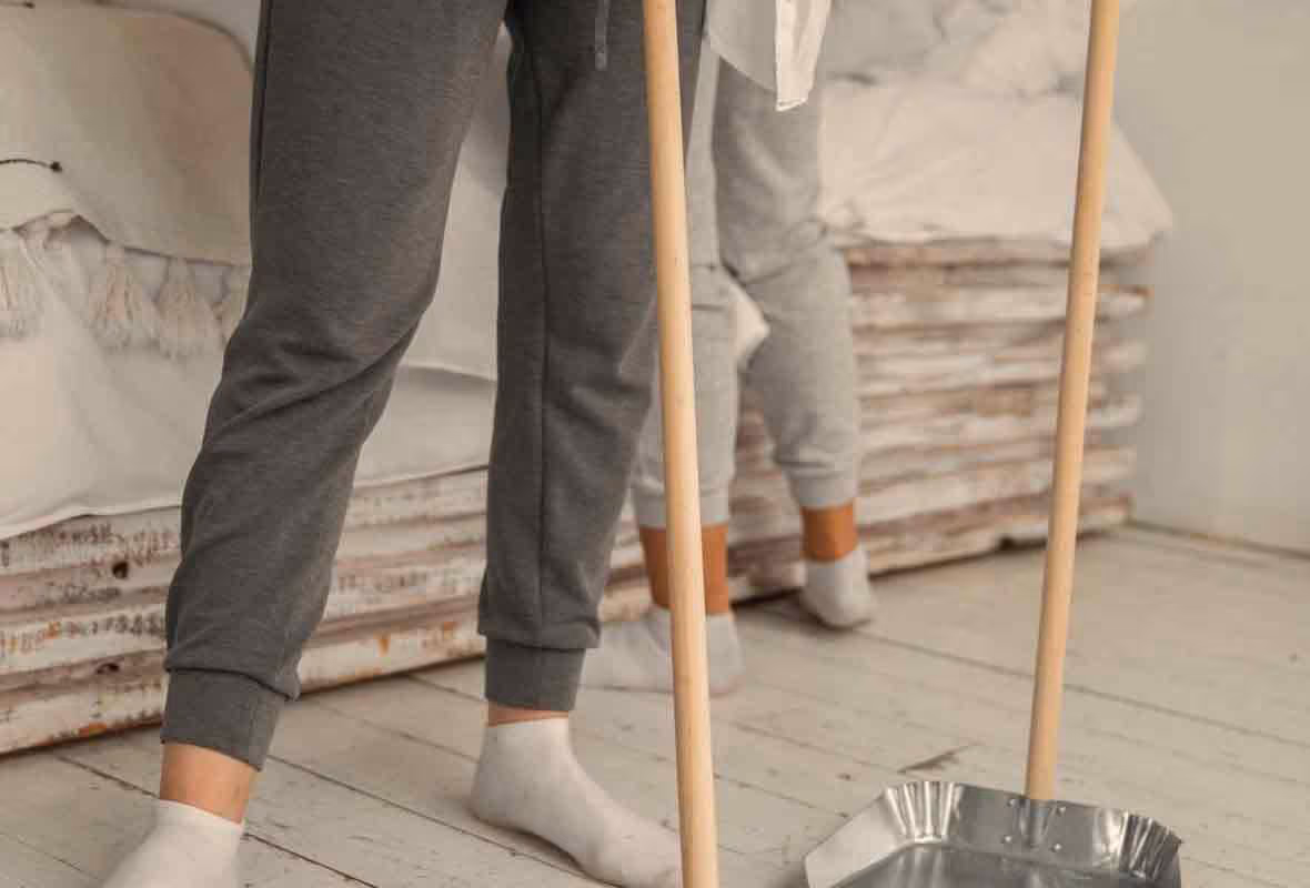 Quelle différence entre blatte et cafard ?