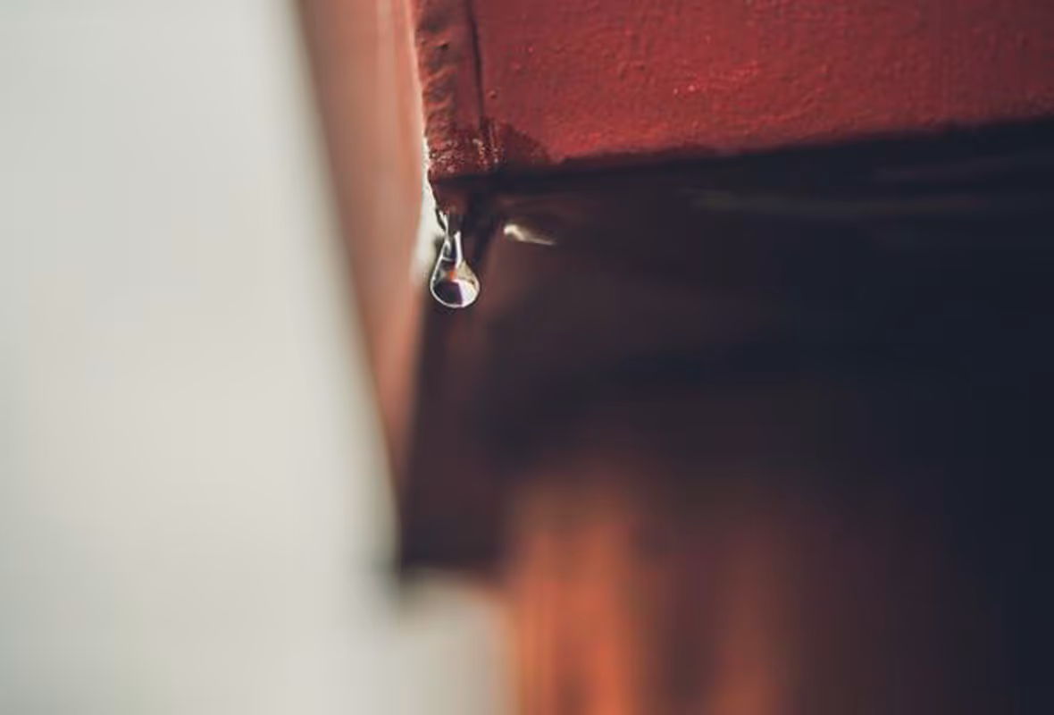 Comment gérer un dégât des eaux en location ?