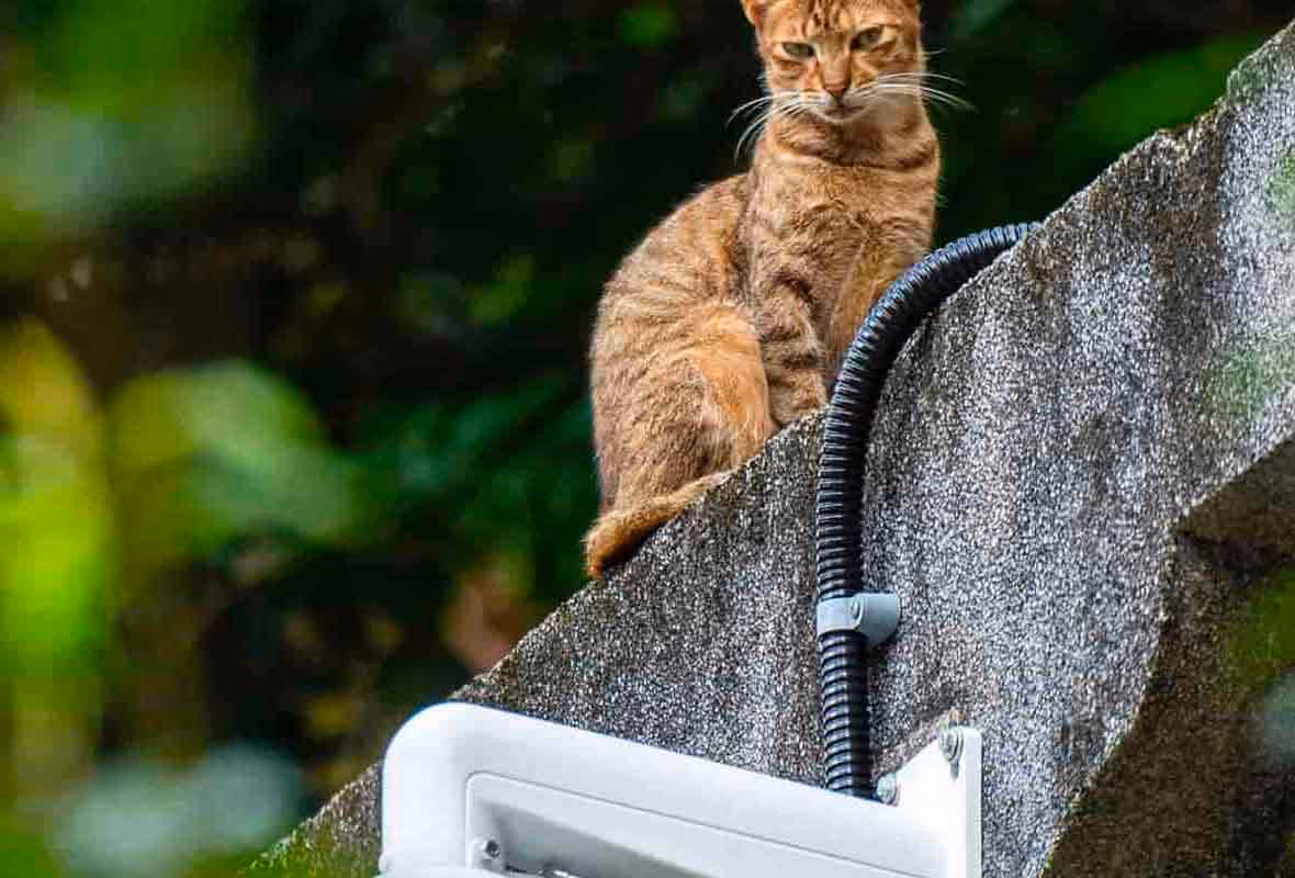 Vidéosurveillance : la législation pour les particuliers