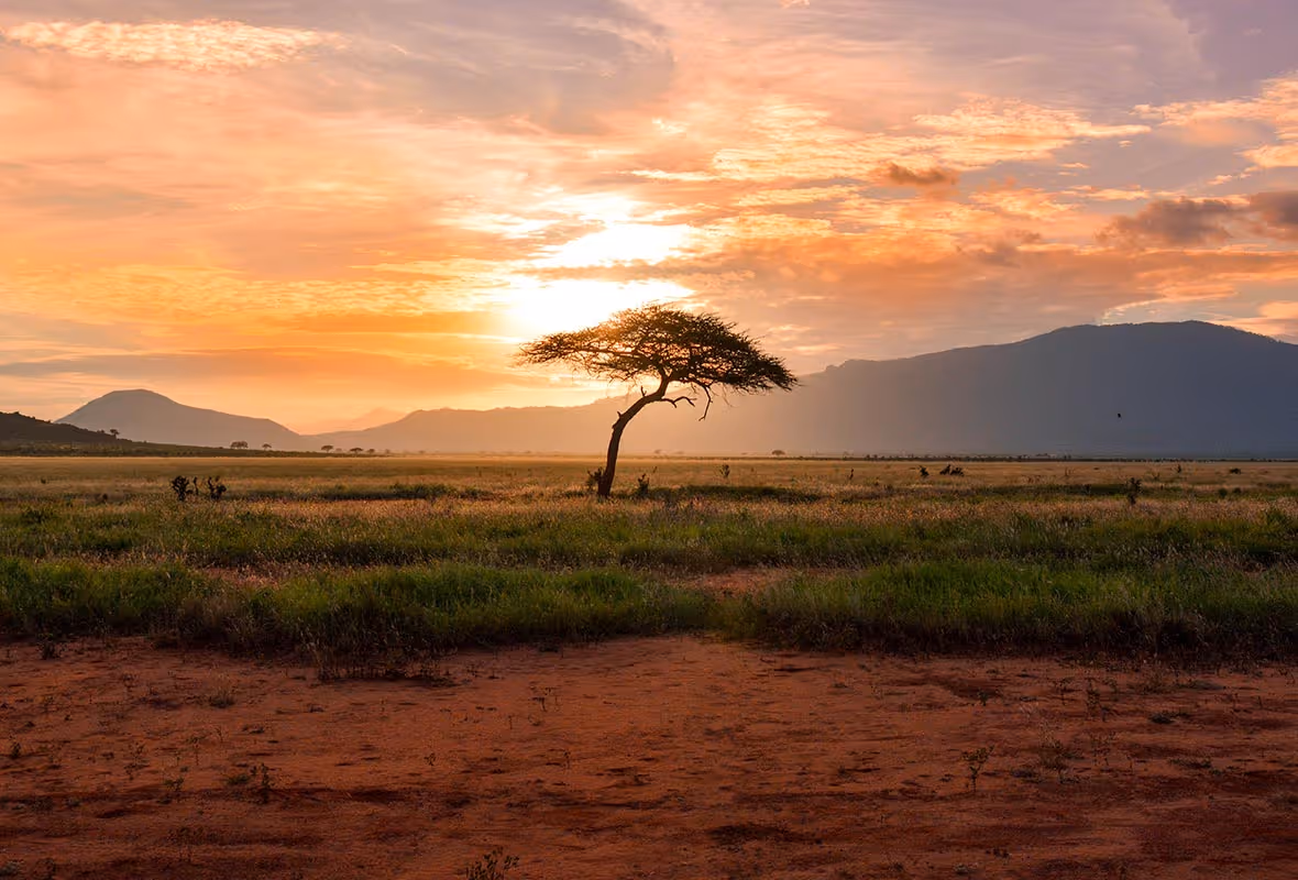 Assurance voyage Kenya