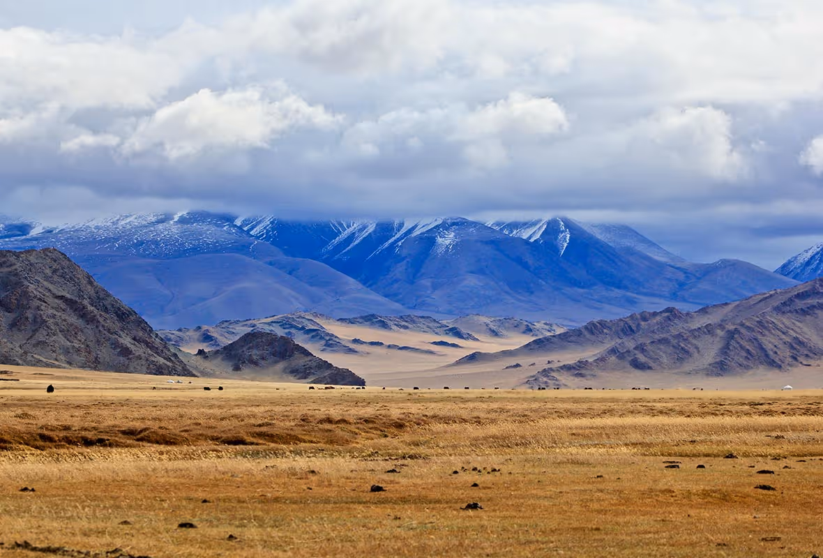 Assurance voyage Mongolie