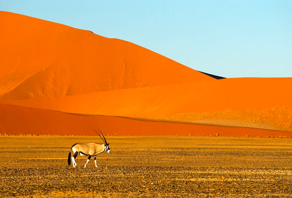 Assurance voyage Namibie