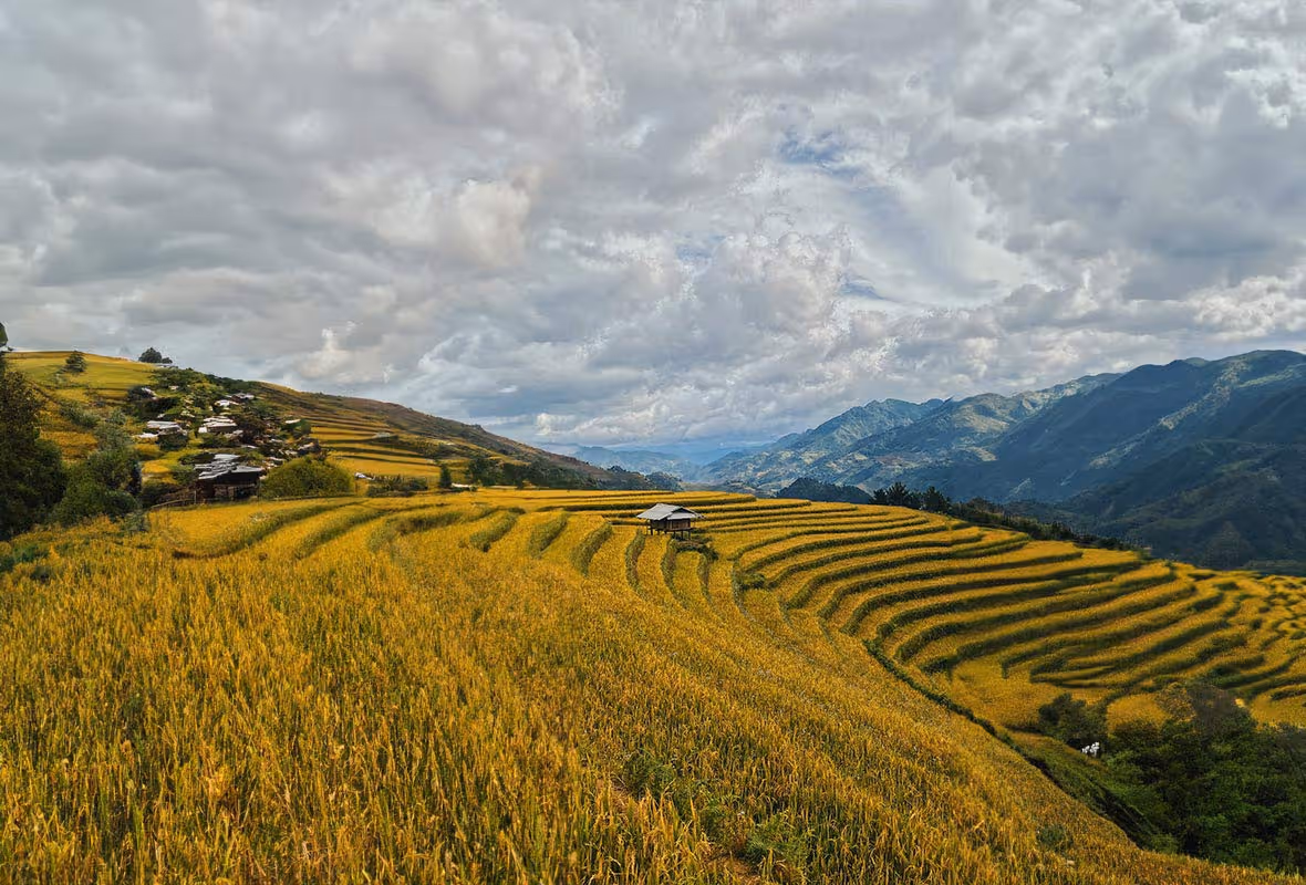 Assurance voyage Vietnam